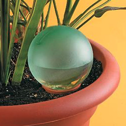 Water globe waterer