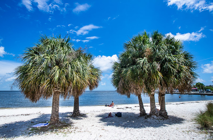 What was your most recent vacation?