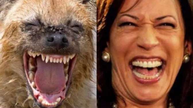 Can you imagine what Putin would be thinking if he saw this joker as the leader of the free world?
