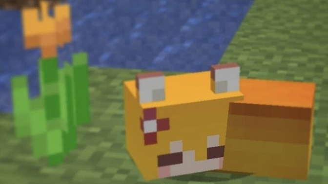 What’s the most adorable thing you’ve seen today?