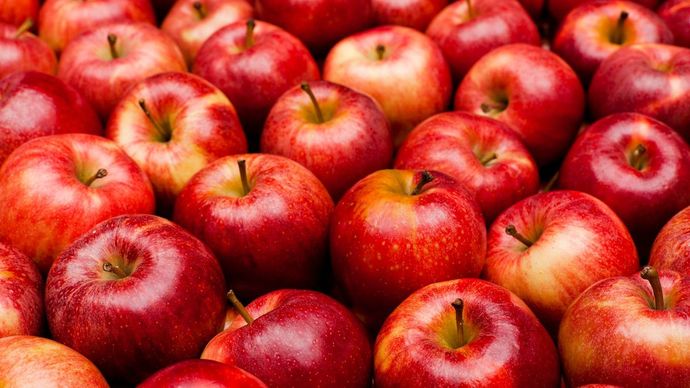 When you think of the color RED what red thing do you think of first?
