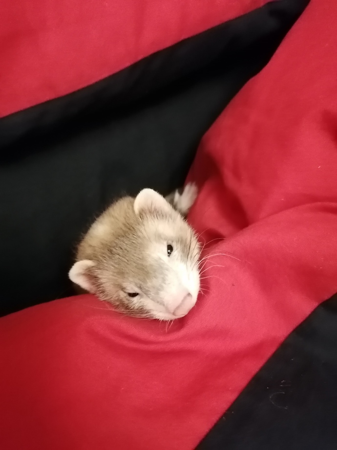 My pretty little princess sleeping in my bed