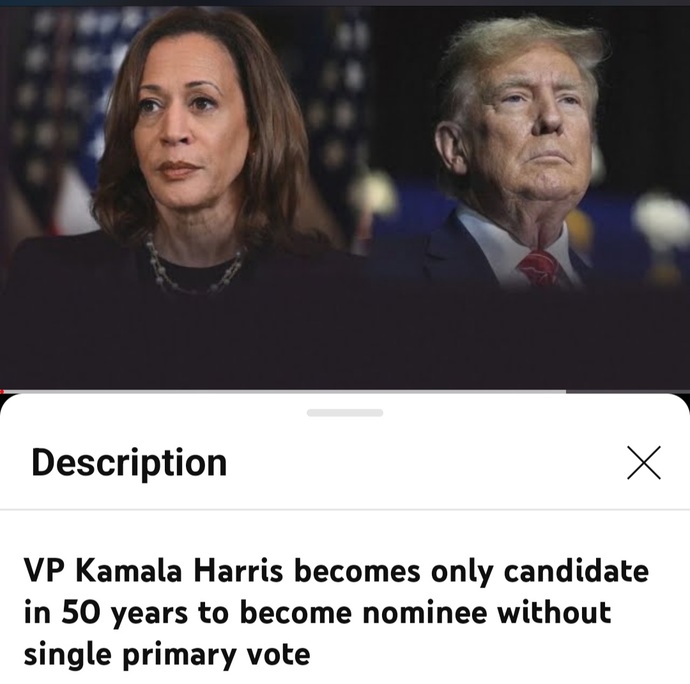 Can some government/political law experts explain to me how its legal for Kamala to just be made the Democrat nominee without an election?
