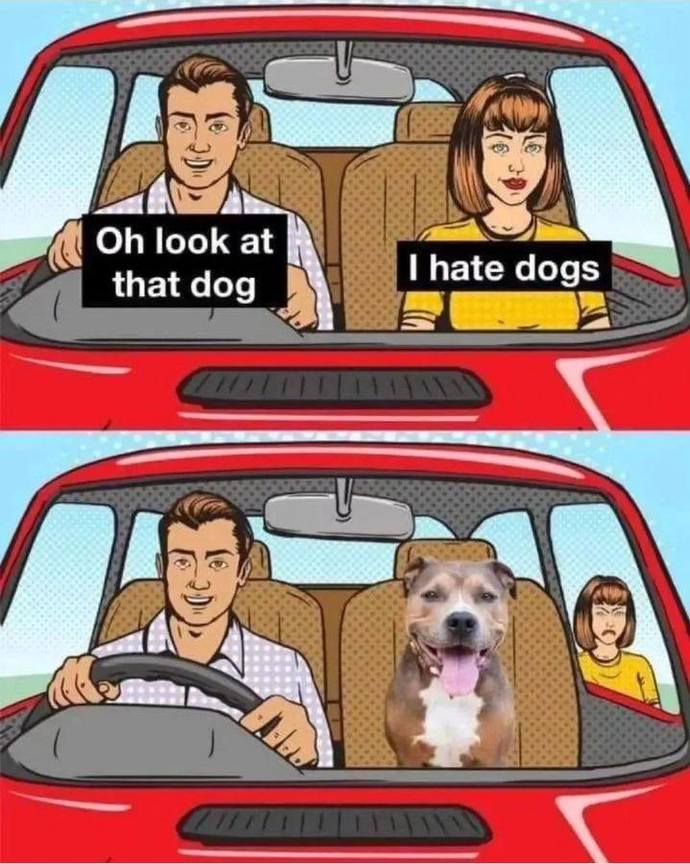 Does how a person treats their pet correlate with how they treat a romantic partner?