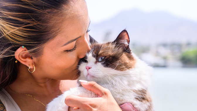 Does how a person treats their pet correlate with how they treat a romantic partner?
