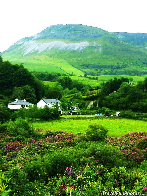 When you think of something GREEN what comes to your mind first?