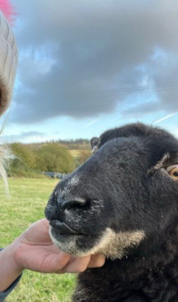 Are you better with PEOPLE or with ANIMALS?