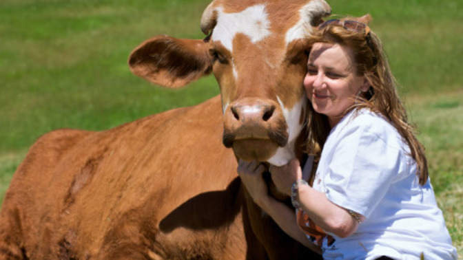 Are you better with PEOPLE or with ANIMALS?