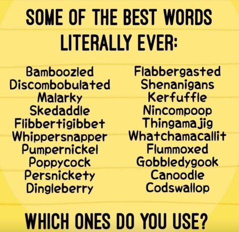 What are some unique words you use?