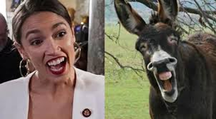 AOC said its not fair she should have to pay back her student loans, because she only makes 175 K per year. Do you agree with her?