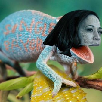 Are Democrats trying to con you again with a Kamala Chameleon basement campaign the same way they did with Biden?