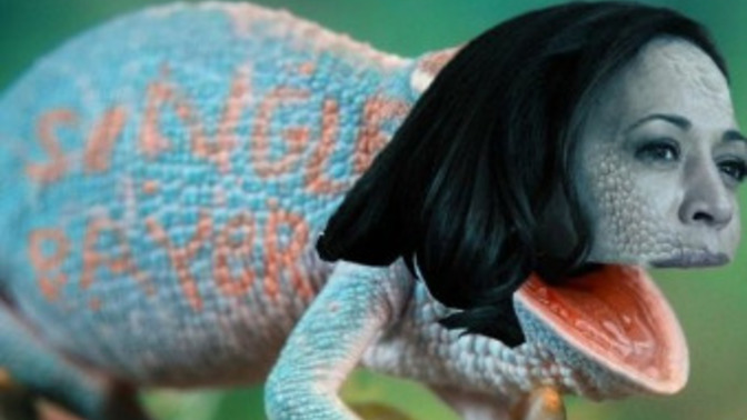 Are Democrats trying to con you again with a Kamala Chameleon basement campaign the same way they did with Biden?