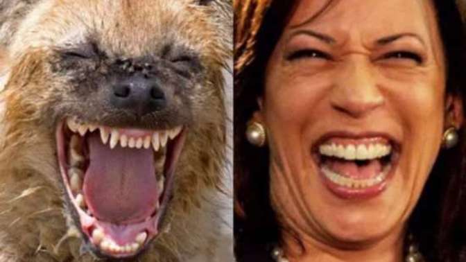 Kamala is going to close the border and end inflation. But only if she wins. Right?
