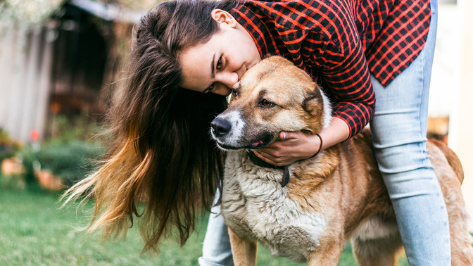 My wife just bought a dog while I was away, despite me repeatedly telling her not to. How should I react?
