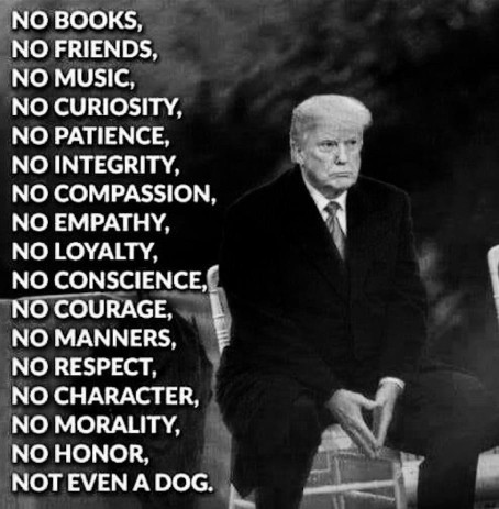 What do you think about Trump constantly insulting people?
