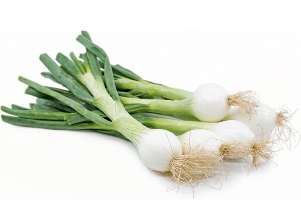 What do you call these green things?