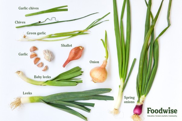 Do you know your onions?
