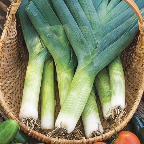 Do you know your onions?