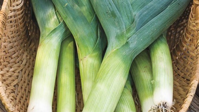 Do you know your onions?