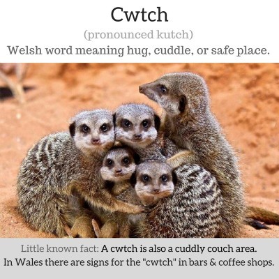 What is your opinion on platonic cuddling?