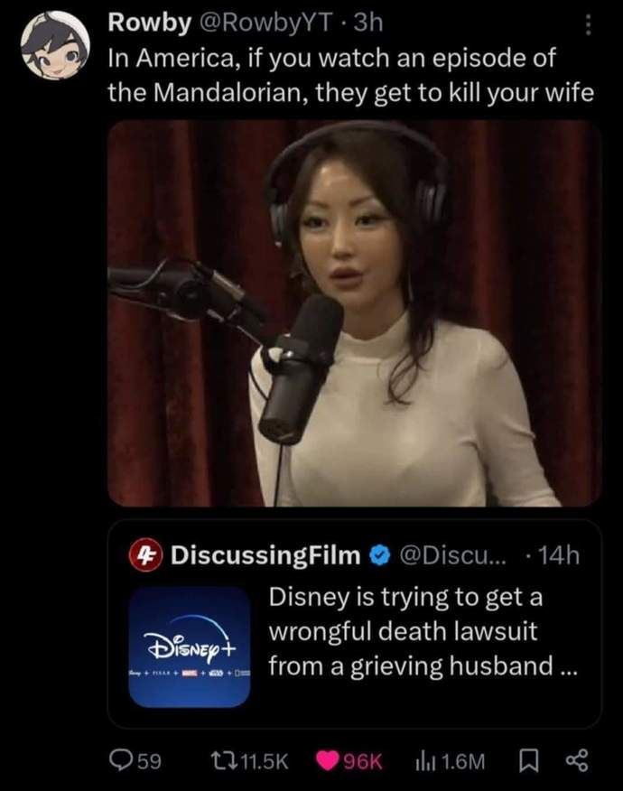 Did you know that if you have Disney Plus you cant sue Disney Corporation for any mishaps that may happen to you at Disney land?
