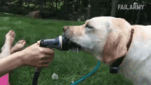 Do you chew your water?