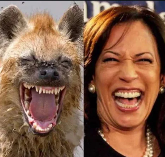 Ever notice how the same people that claim gender isn’t real want a female President?