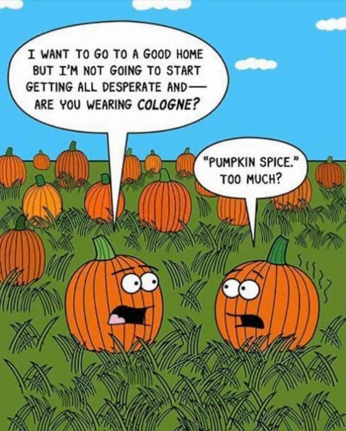 Are you celebrating Summerween with Pumpkin Spice? ๐ฑ?