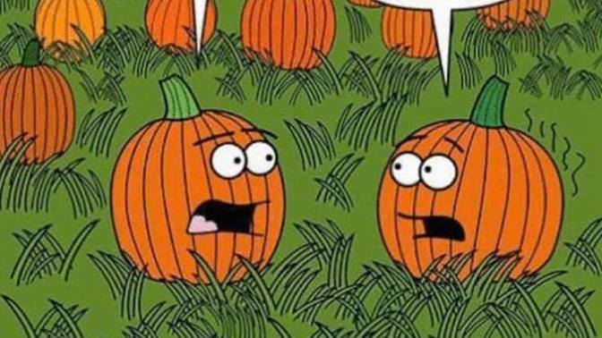 Are you celebrating "Summerween" with Pumpkin Spice? 😱?