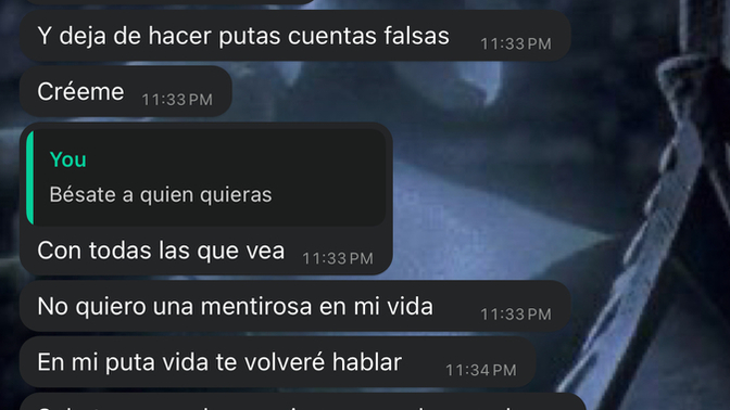 Spanish speakers: did I ruin the relationship with my ex and was it my fault it ended?