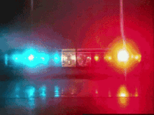 Have you ever had to fight the Law? and if so who won?