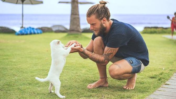 Girls, how hot are guys who are dog owners?