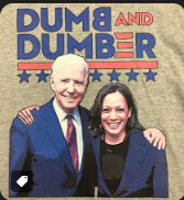 Why are the Democrats and their media shills selling Kamala as new and exciting when she's been on the job for 4 years and done absolutely nothing?