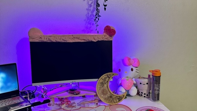 What kind of decorations or items do you have on your desk?