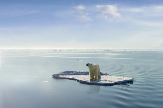 How does climate change impact global economies, and what can be done to mitigate its effects?