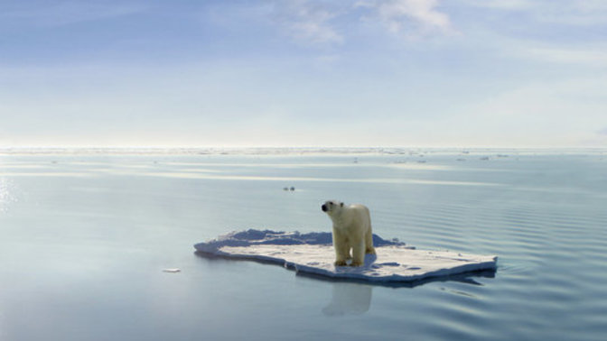 How does climate change impact global economies, and what can be done to mitigate its effects?