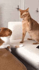 If humans purred like cats when happy, how often would you purr?