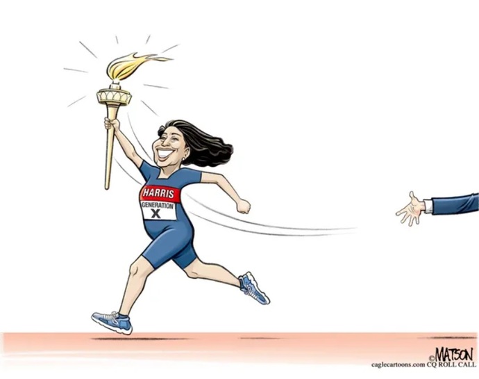 Which political cartoon best encapsulates the 2024 US Election?