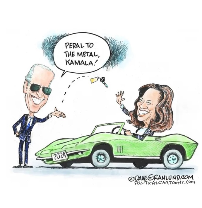 Which political cartoon best encapsulates the 2024 US Election?