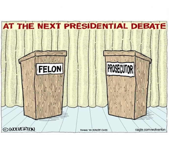 Which political cartoon best encapsulates the 2024 US Election?
