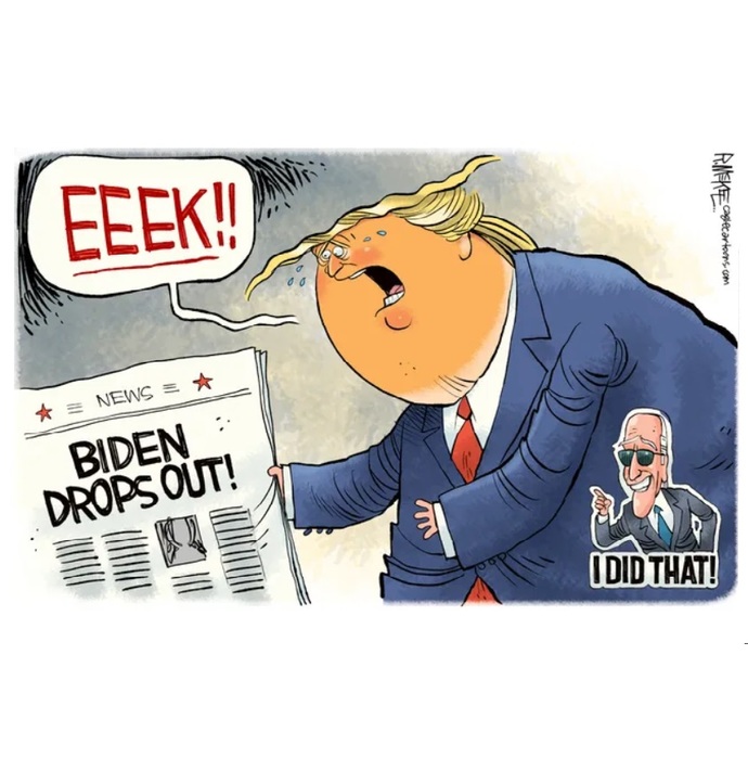 Which political cartoon best encapsulates the 2024 US Election?