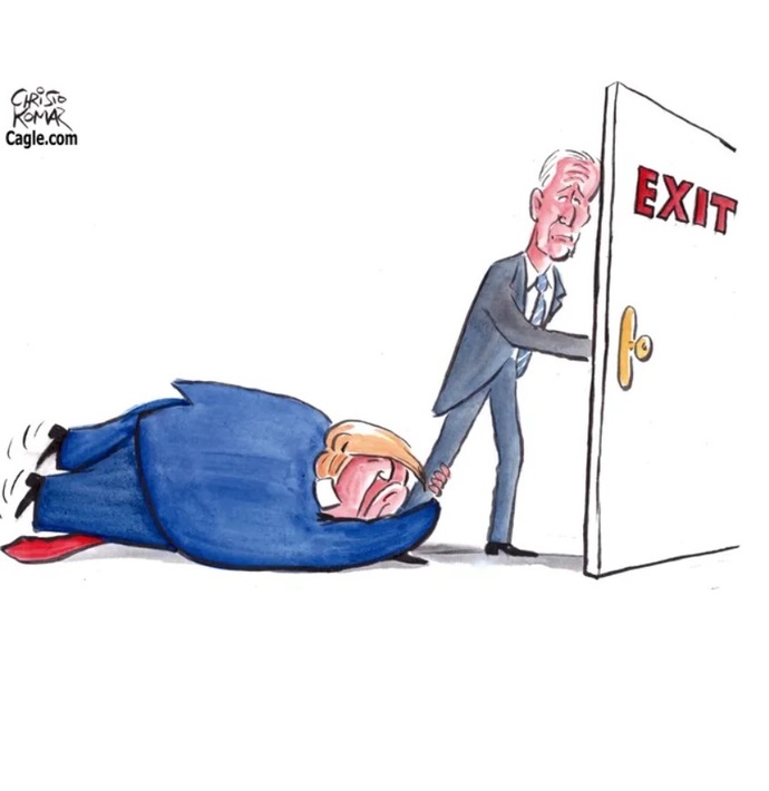 Which political cartoon best encapsulates the 2024 US Election?