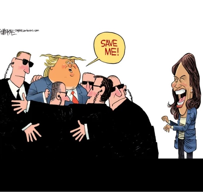 Which political cartoon best encapsulates the 2024 US Election?