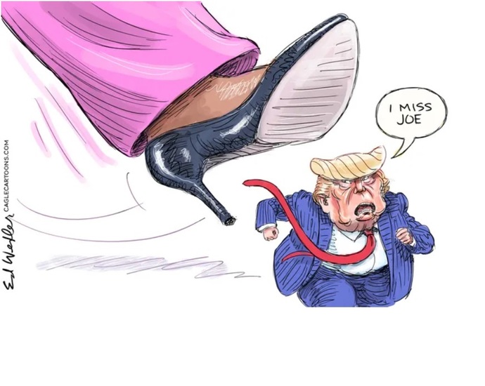 Which political cartoon best encapsulates the 2024 US Election?