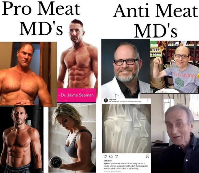 Would you date someone who eats a carnivore diet?