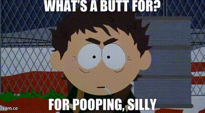 Is the reason butt cheeks exist is for it to not hurt when we sit?