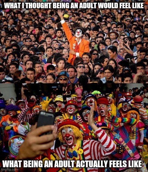 Do you ever truly FEEL like an Adult?