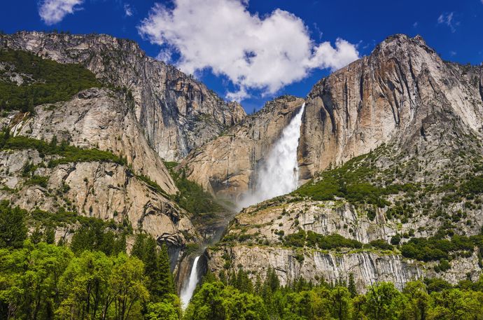 Which of these US national parks would you like to vist the most?