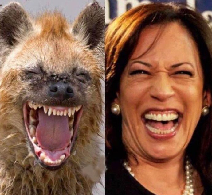So who are you voting for?