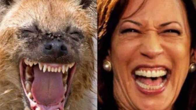 So who are you voting for?